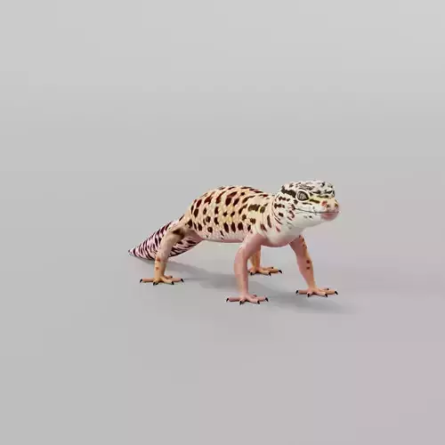 Leopard Gecko Low-poly 3D model