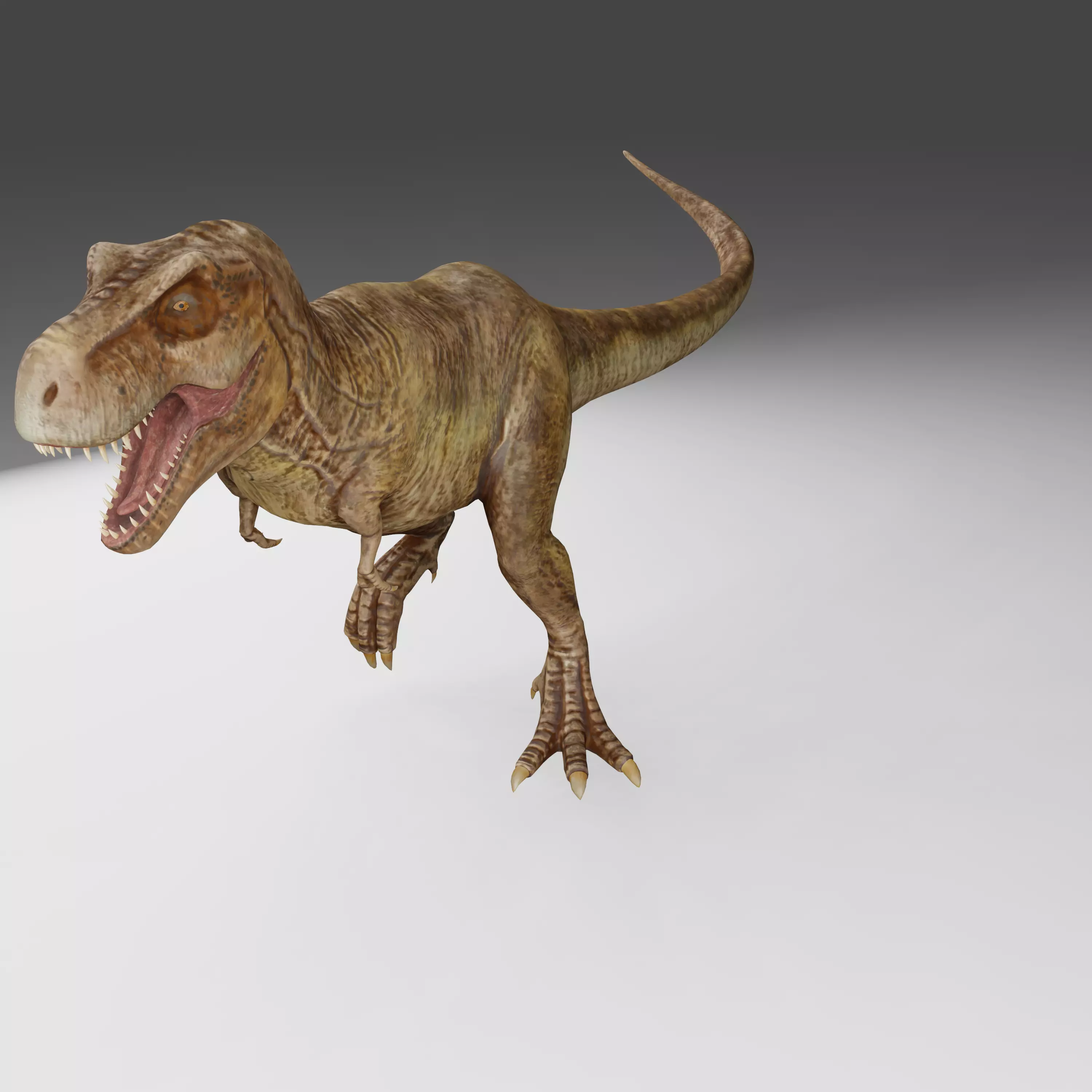 T-Rex 3D model_0