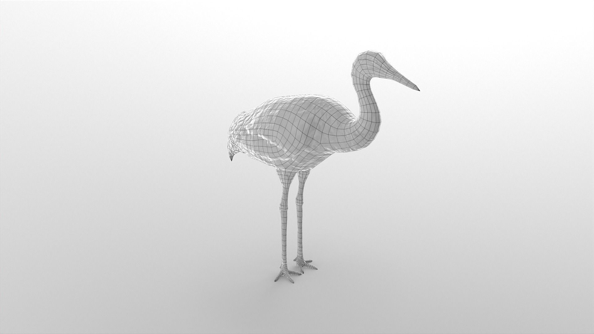 Crane Bird Low Poly  Low-poly 3D model_7