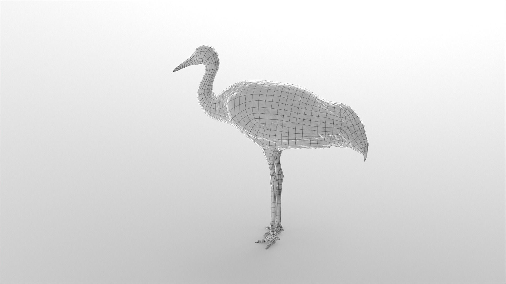 Crane Bird Low Poly  Low-poly 3D model_8