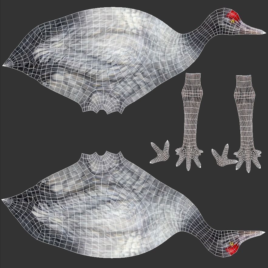 Crane Bird Low Poly  Low-poly 3D model_9