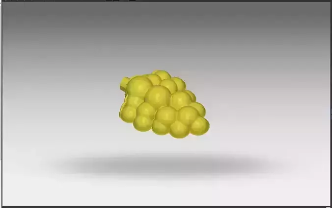GRAPES DESIGN