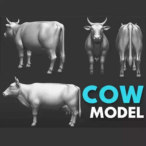Farm Cow 3D model