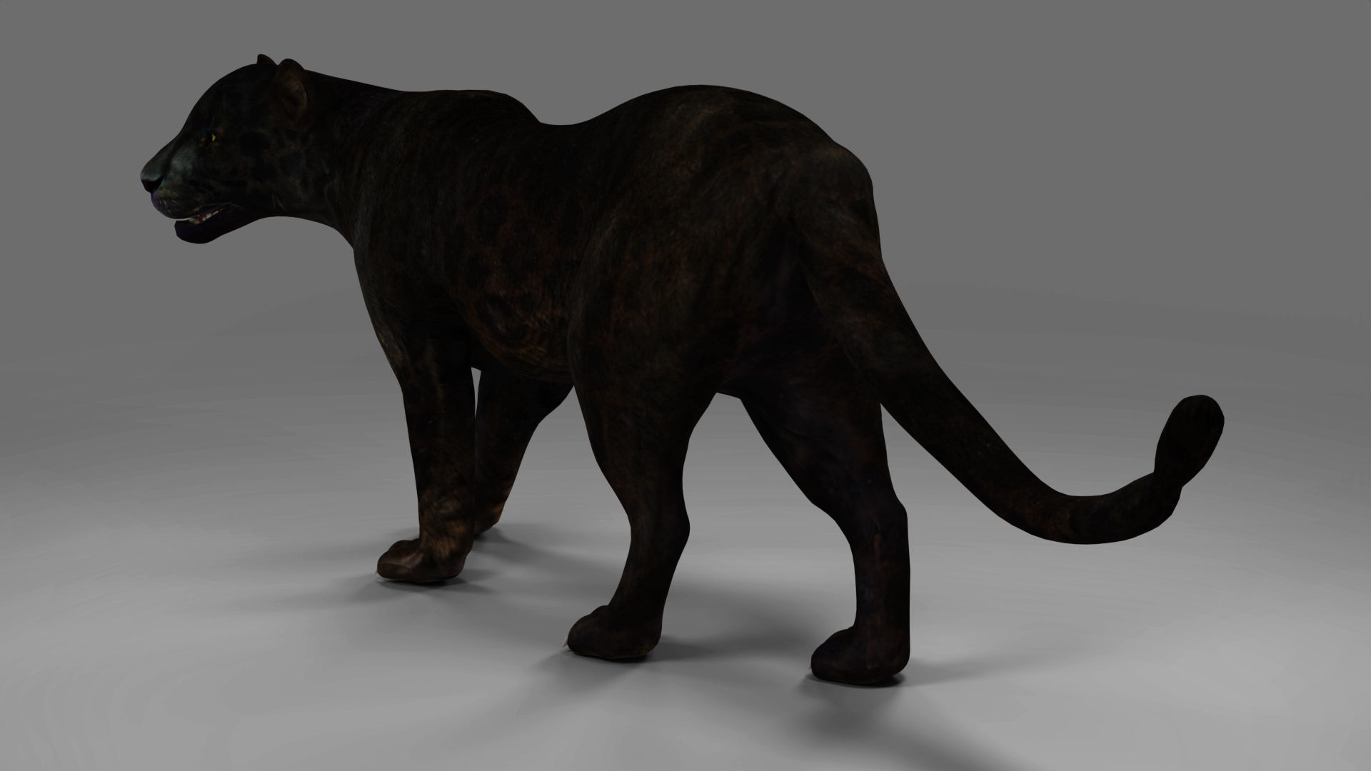 Black Panther Rigged and Animation in Blender Unity Low-poly 3D model_8
