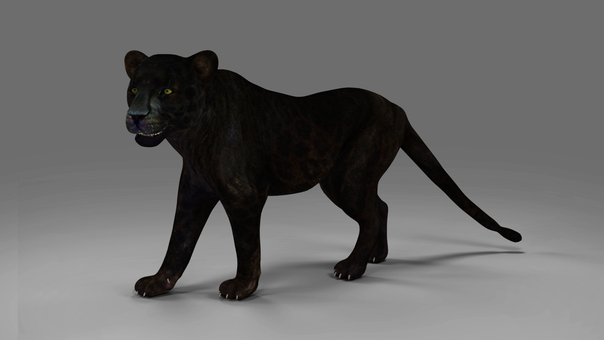 Black Panther Rigged and Animation in Blender Unity Low-poly 3D model_5
