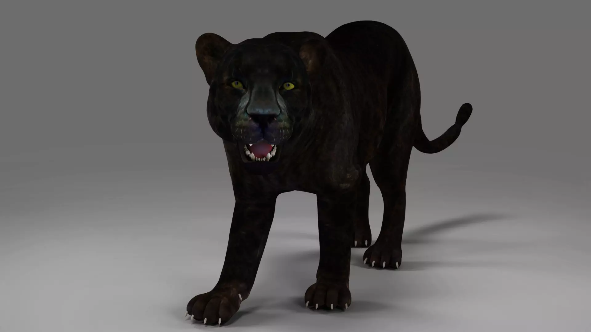 Black Panther Rigged and Animation in Blender Unity Low-poly 3D model_0