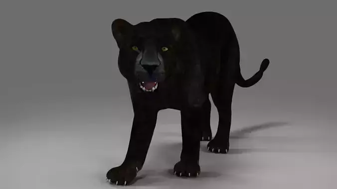 Black Panther Rigged and Animation in Blender Unity