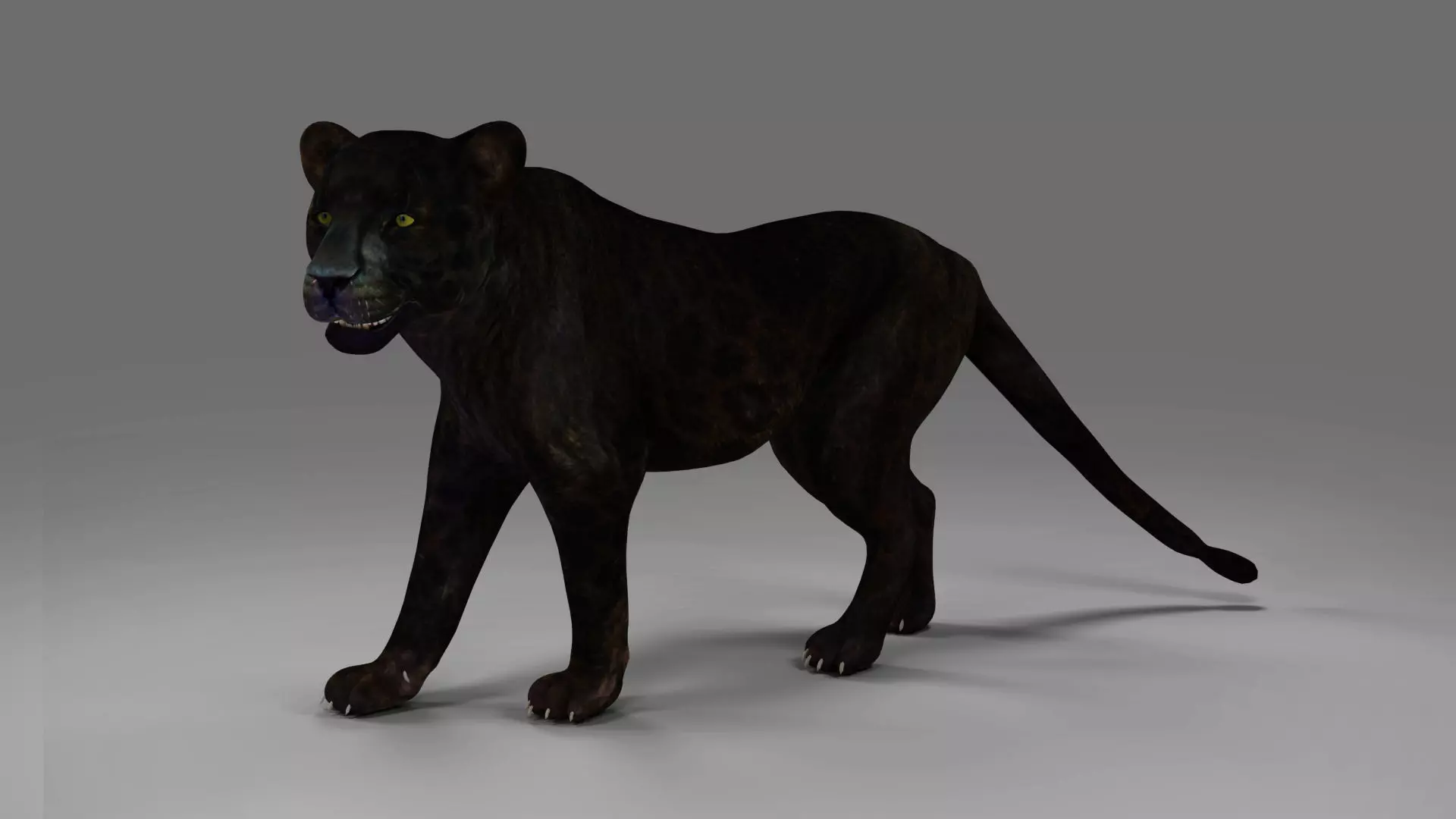 Black Panther Rigged in Blender Low-poly 3D model_0