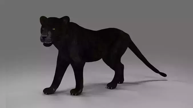 Black Panther Rigged in Blender 