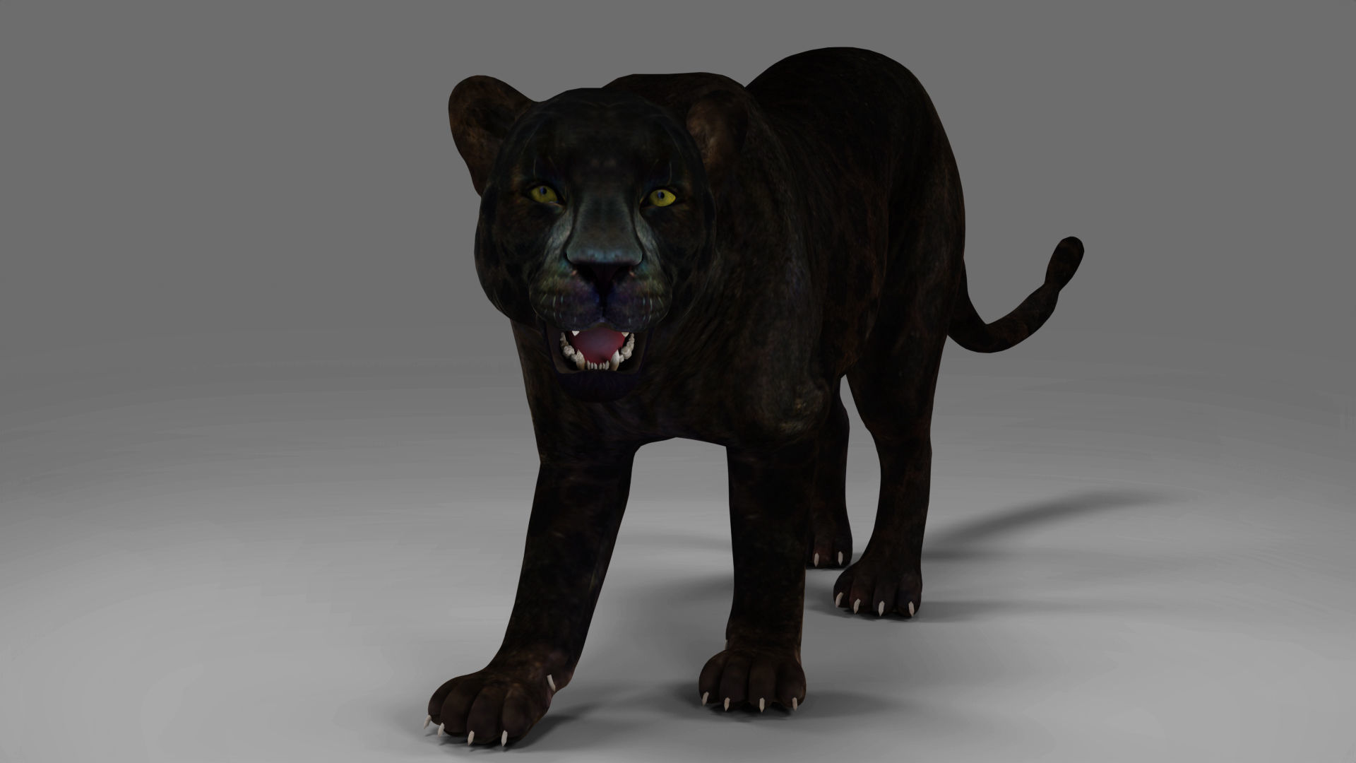 Black Panther Rigged in Blender Low-poly 3D model_2