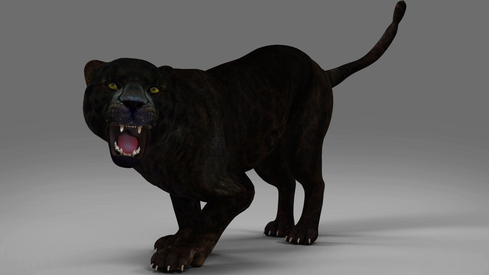 Black Panther Rigged in Blender Low-poly 3D model_3