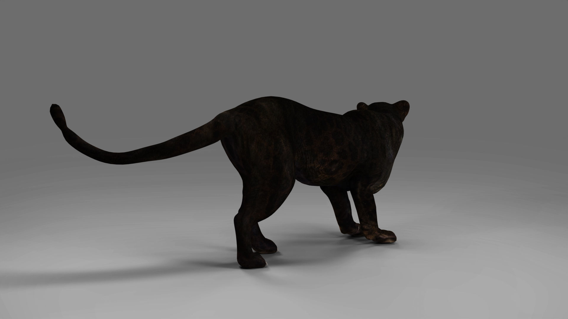 Black Panther Rigged in Blender Low-poly 3D model_4