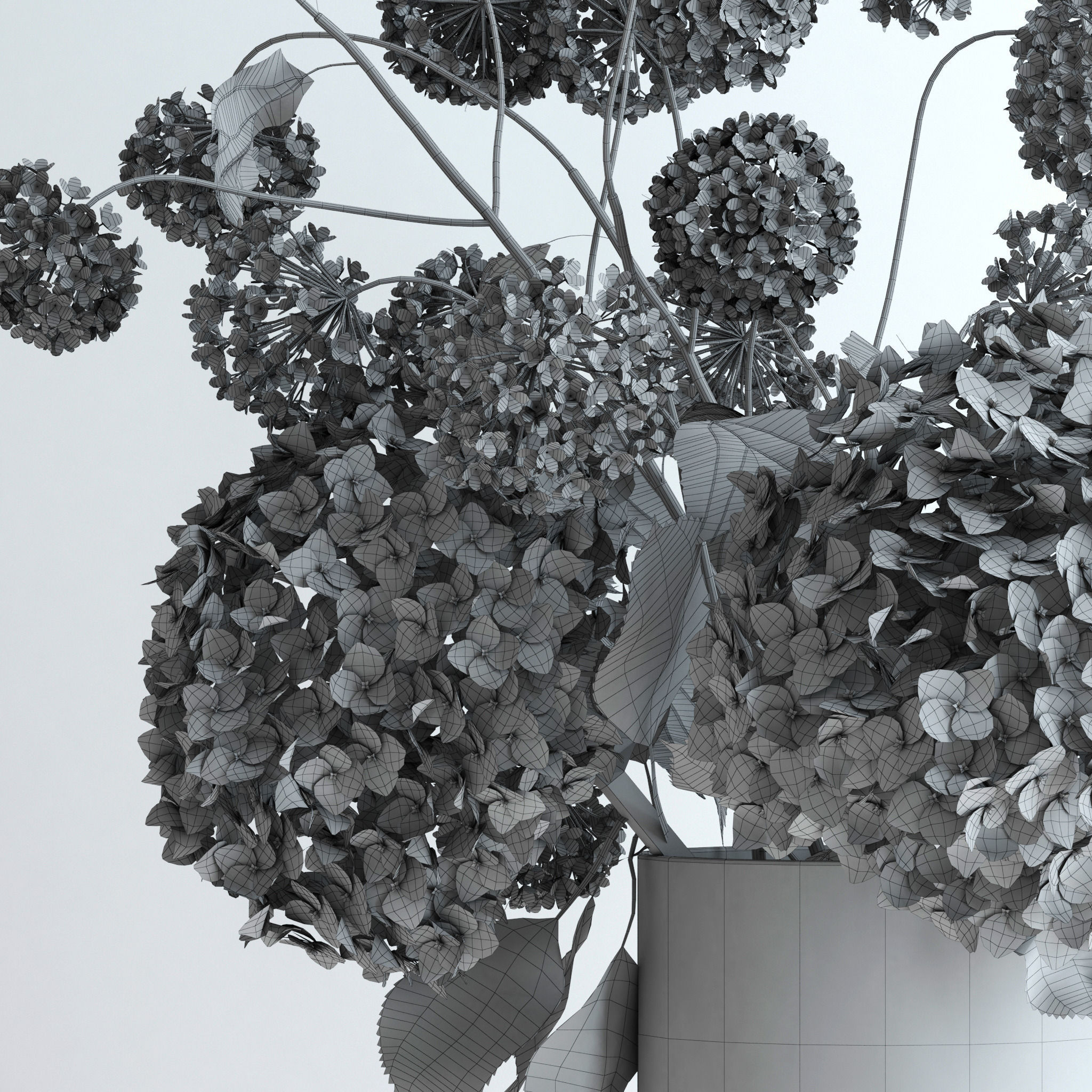 Hydrangeas and Viburnum  3D model_6