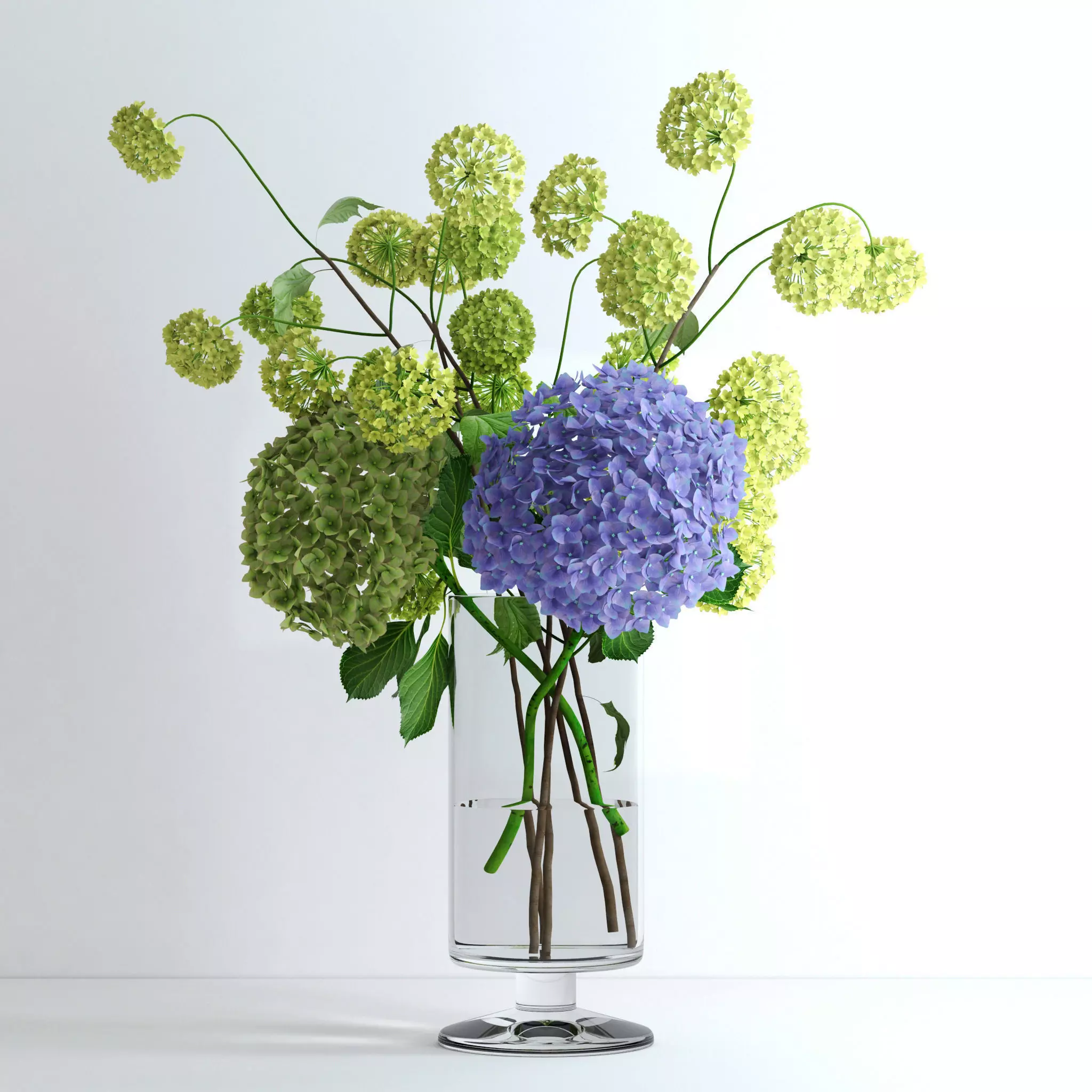 Hydrangeas and Viburnum  3D model_0