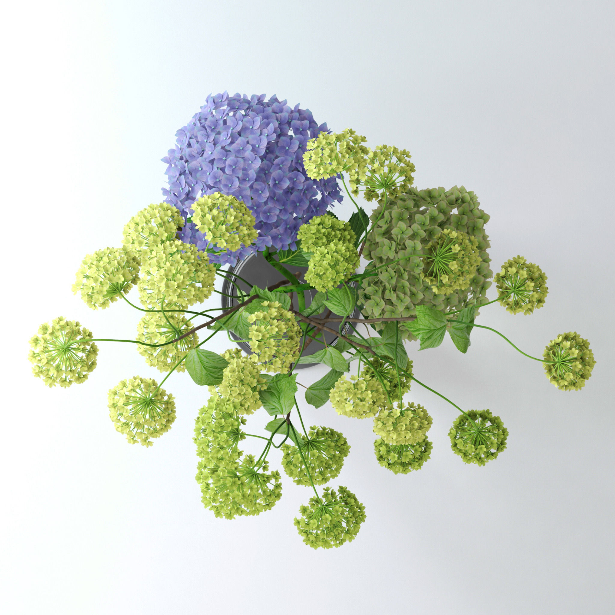 Hydrangeas and Viburnum  3D model_3