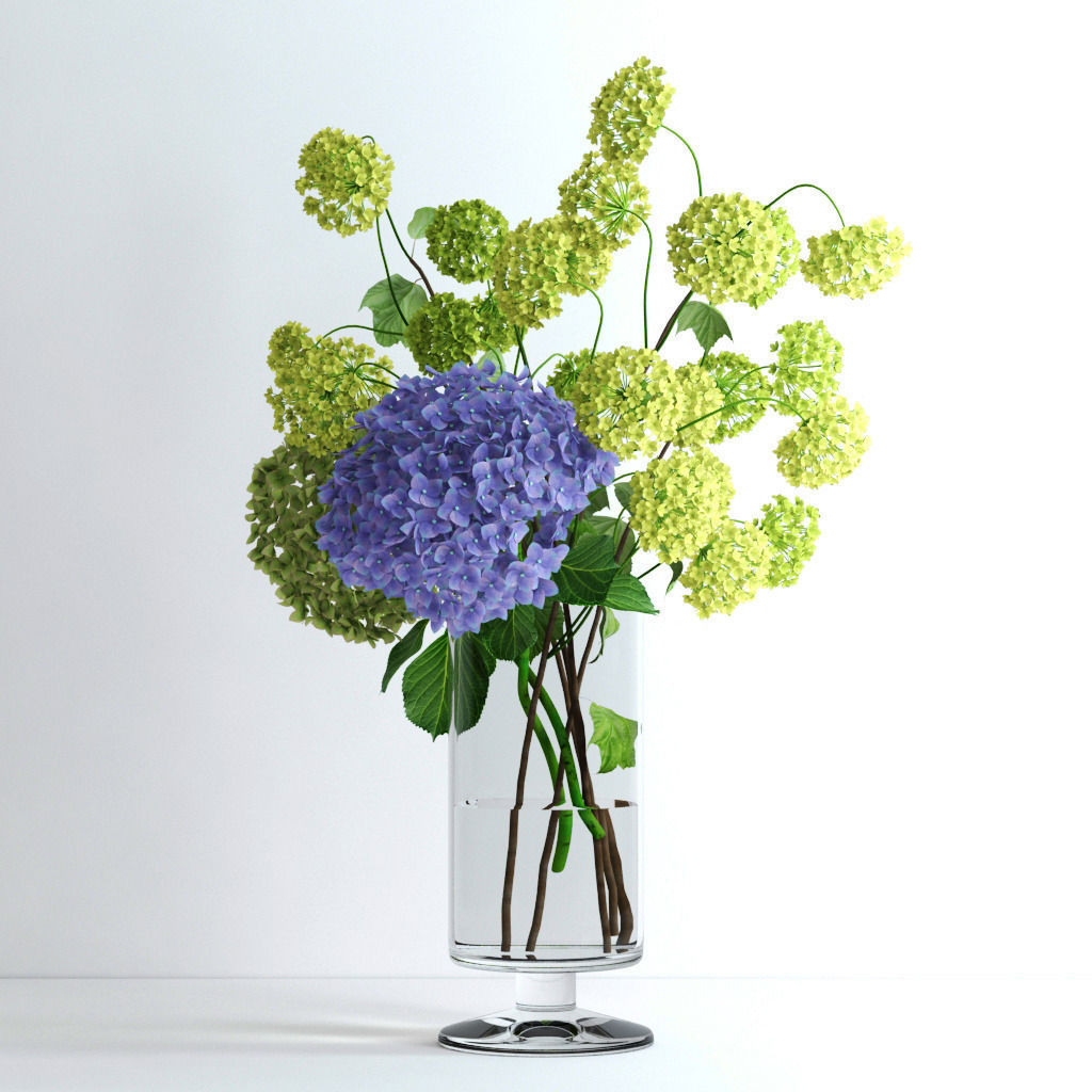 Hydrangeas and Viburnum  3D model_1