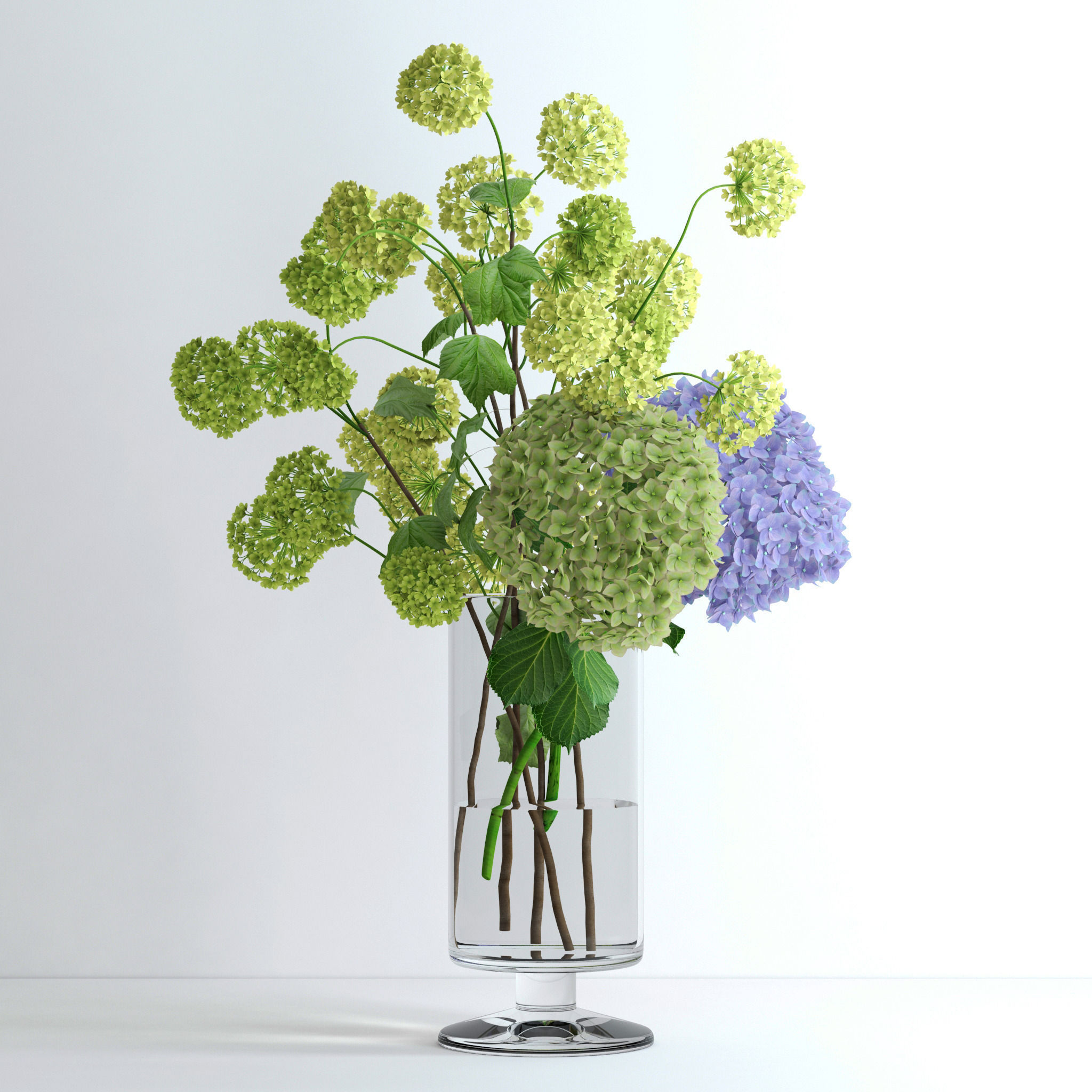 Hydrangeas and Viburnum  3D model_2