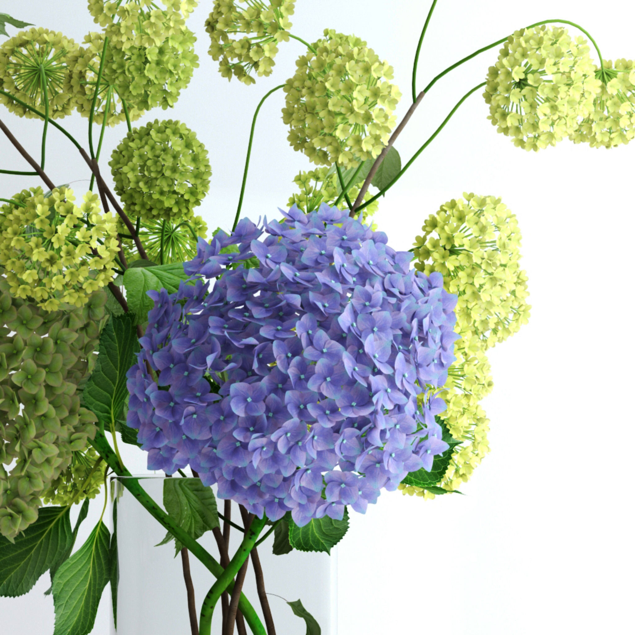 Hydrangeas and Viburnum  3D model_4