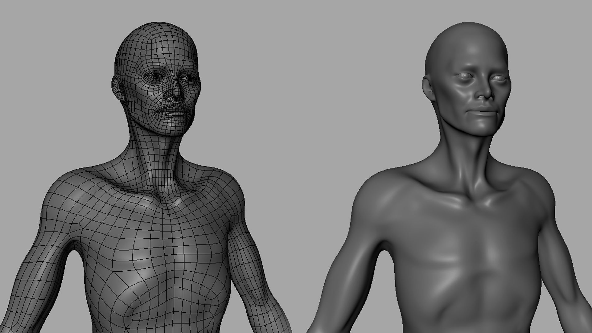 Thin Male Anatomy BaseMesh Low-poly 3D model_3