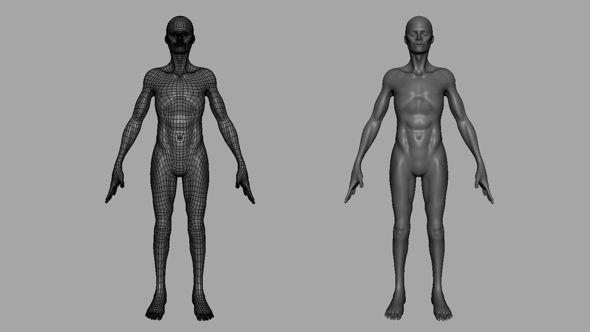 Thin Male Anatomy BaseMesh Low-poly 3D model_5