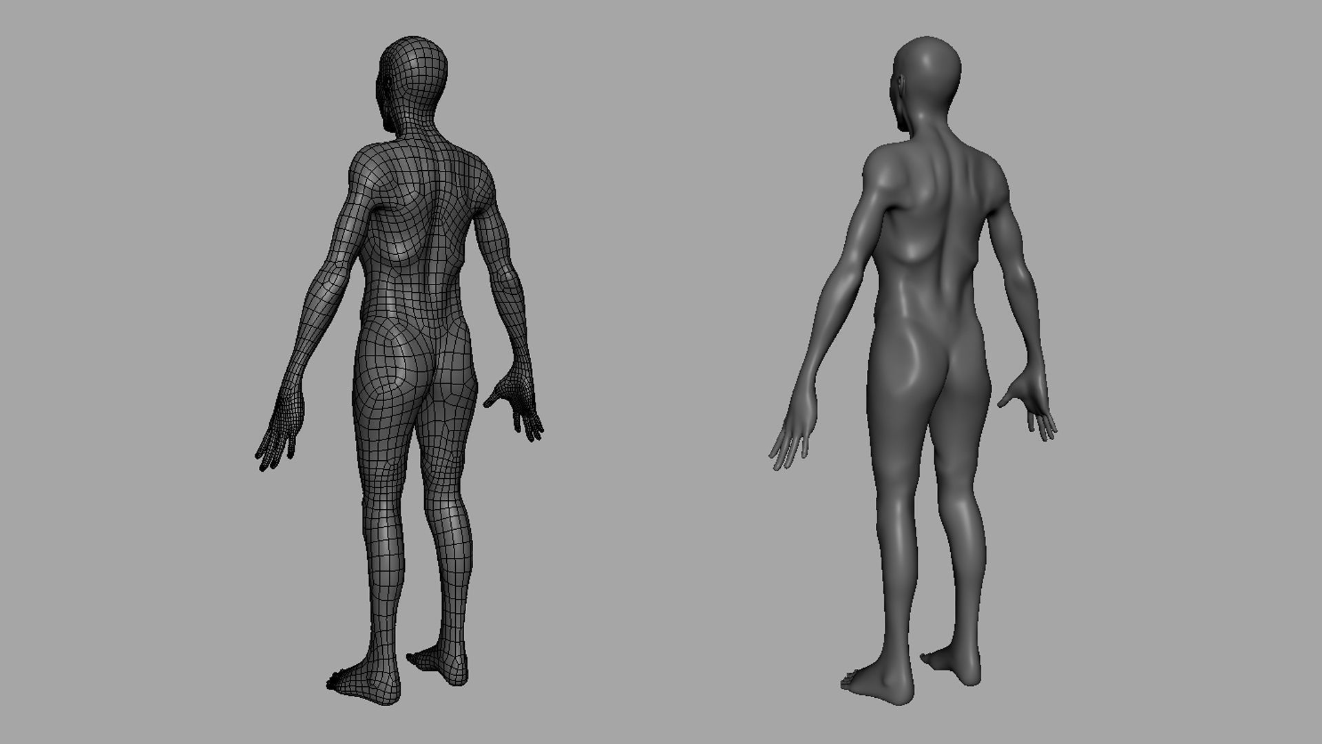 Thin Male Anatomy BaseMesh Low-poly 3D model_7
