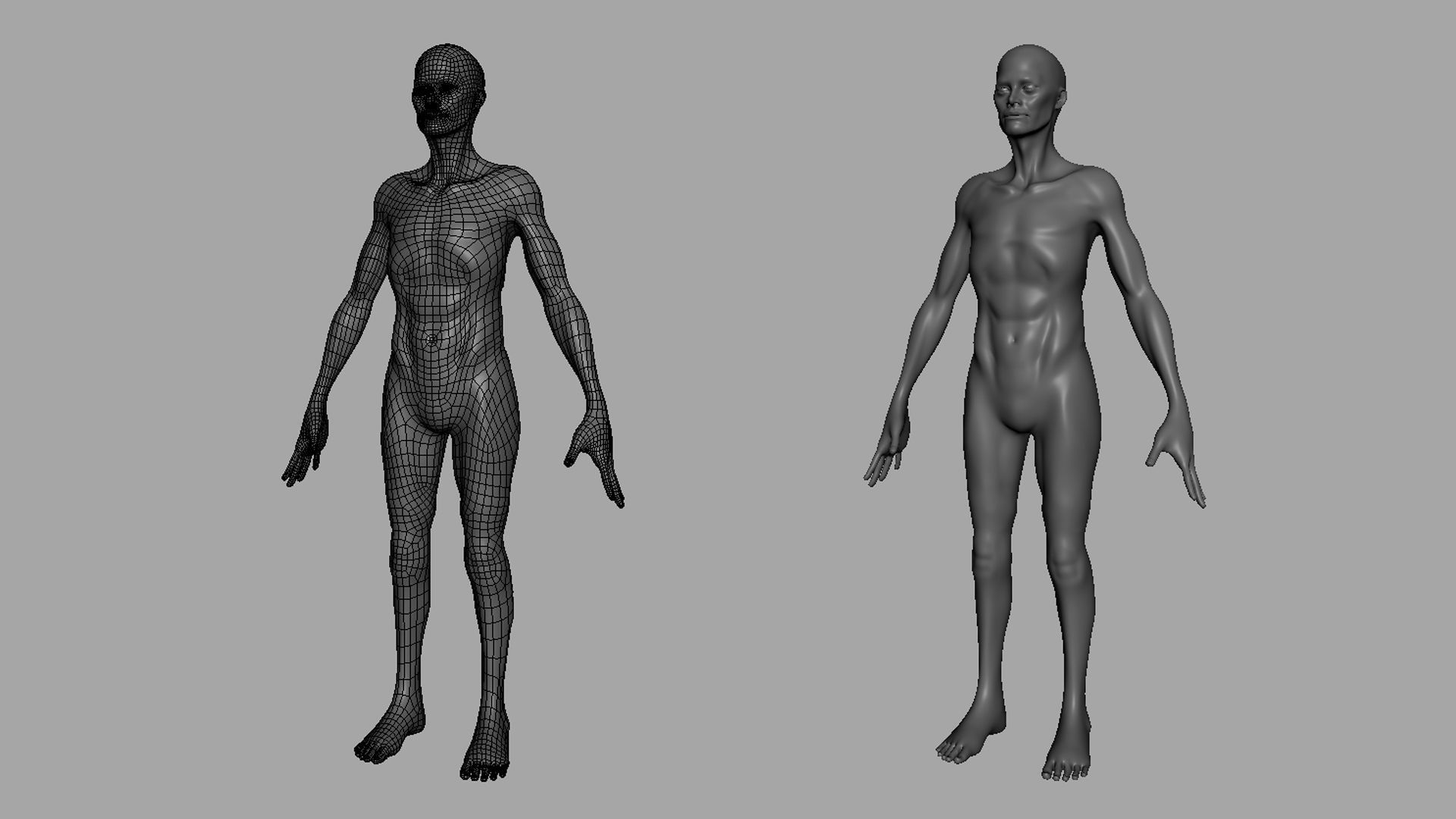 Thin Male Anatomy BaseMesh Low-poly 3D model_4
