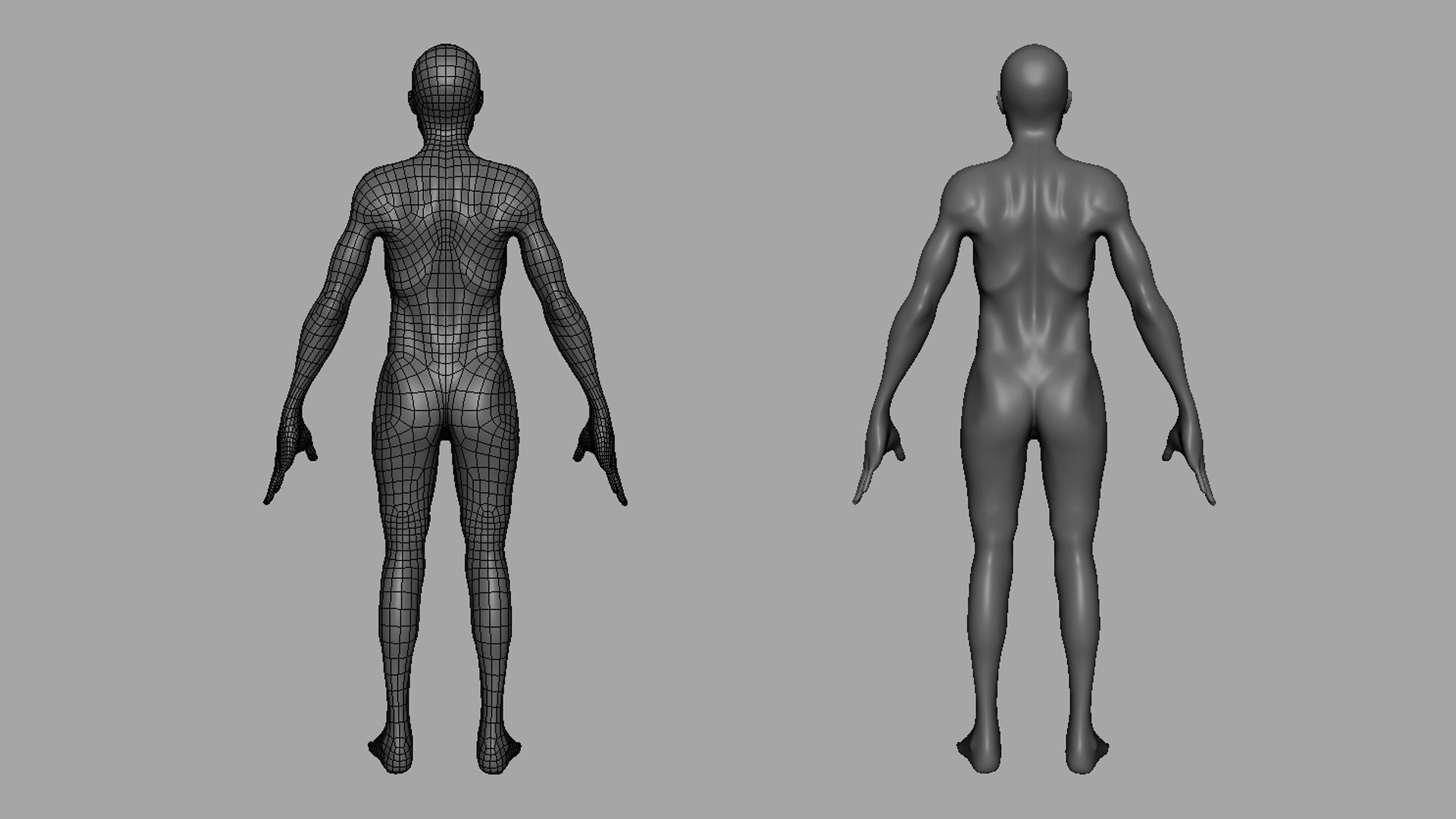 Thin Male Anatomy BaseMesh Low-poly 3D model_8