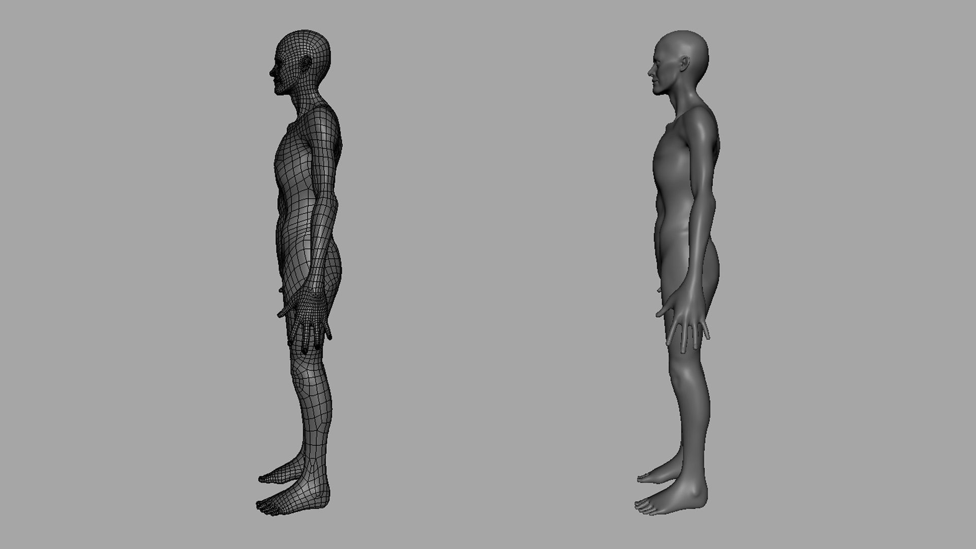 Thin Male Anatomy BaseMesh Low-poly 3D model_6