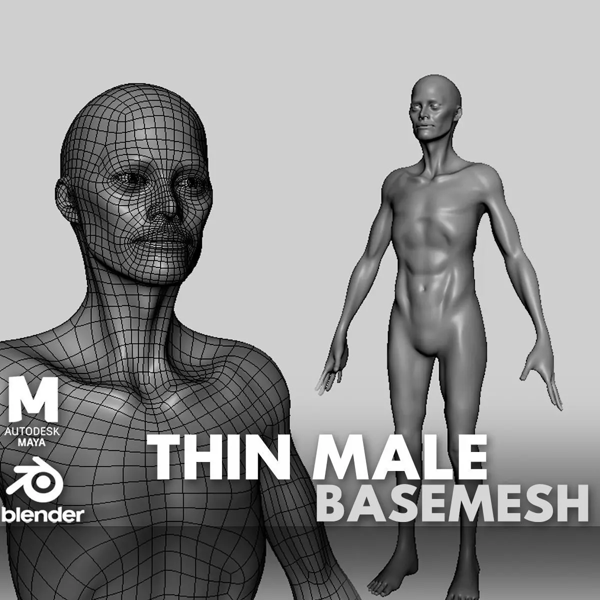 Thin Male Anatomy BaseMesh Low-poly 3D model_0