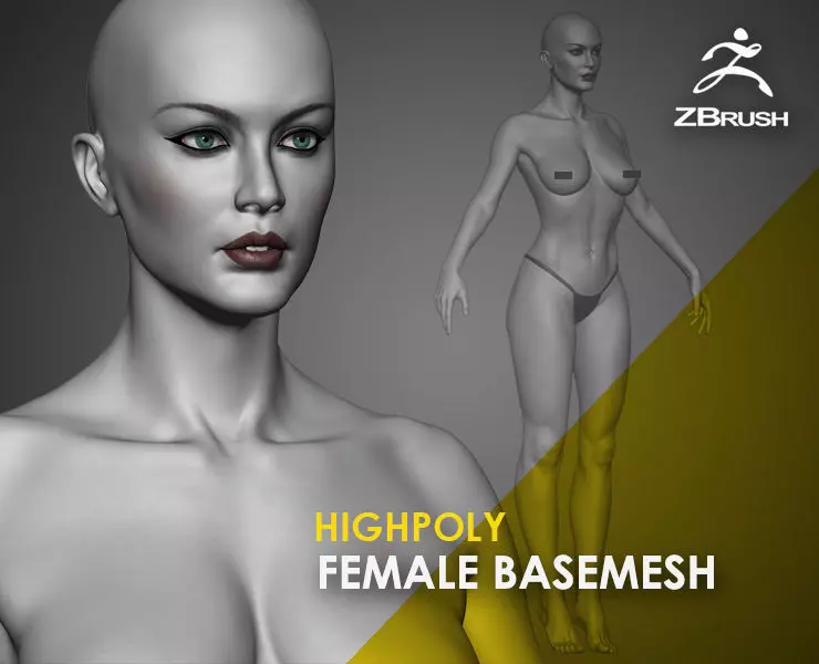 Highpoly Female  Basemesh Sculpted in Zbrush 3D model_0