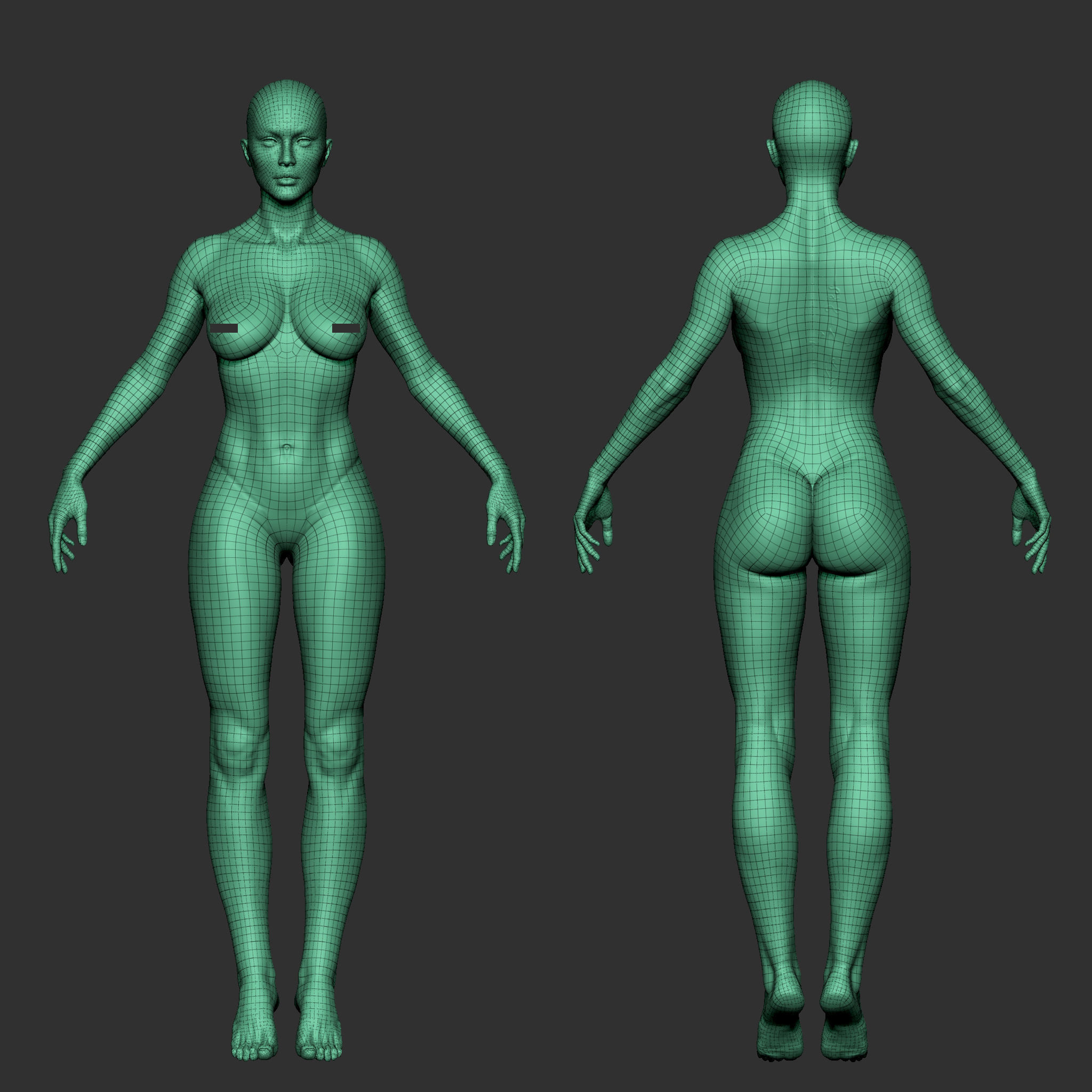Highpoly Female  Basemesh Sculpted in Zbrush 3D model_15