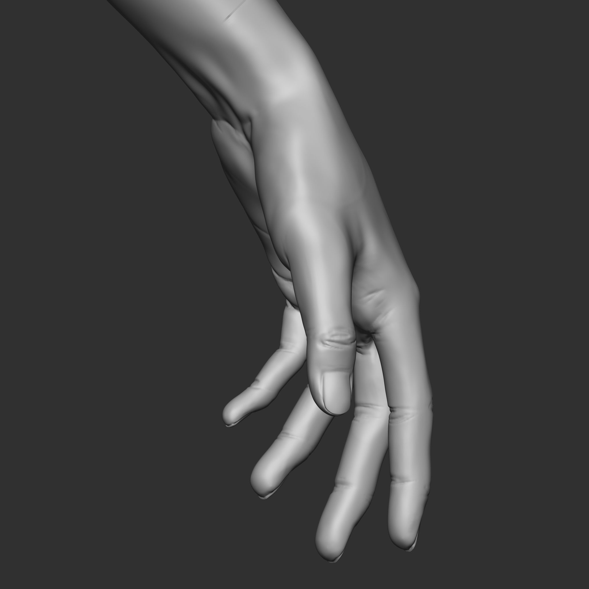 Highpoly Female  Basemesh Sculpted in Zbrush 3D model_14