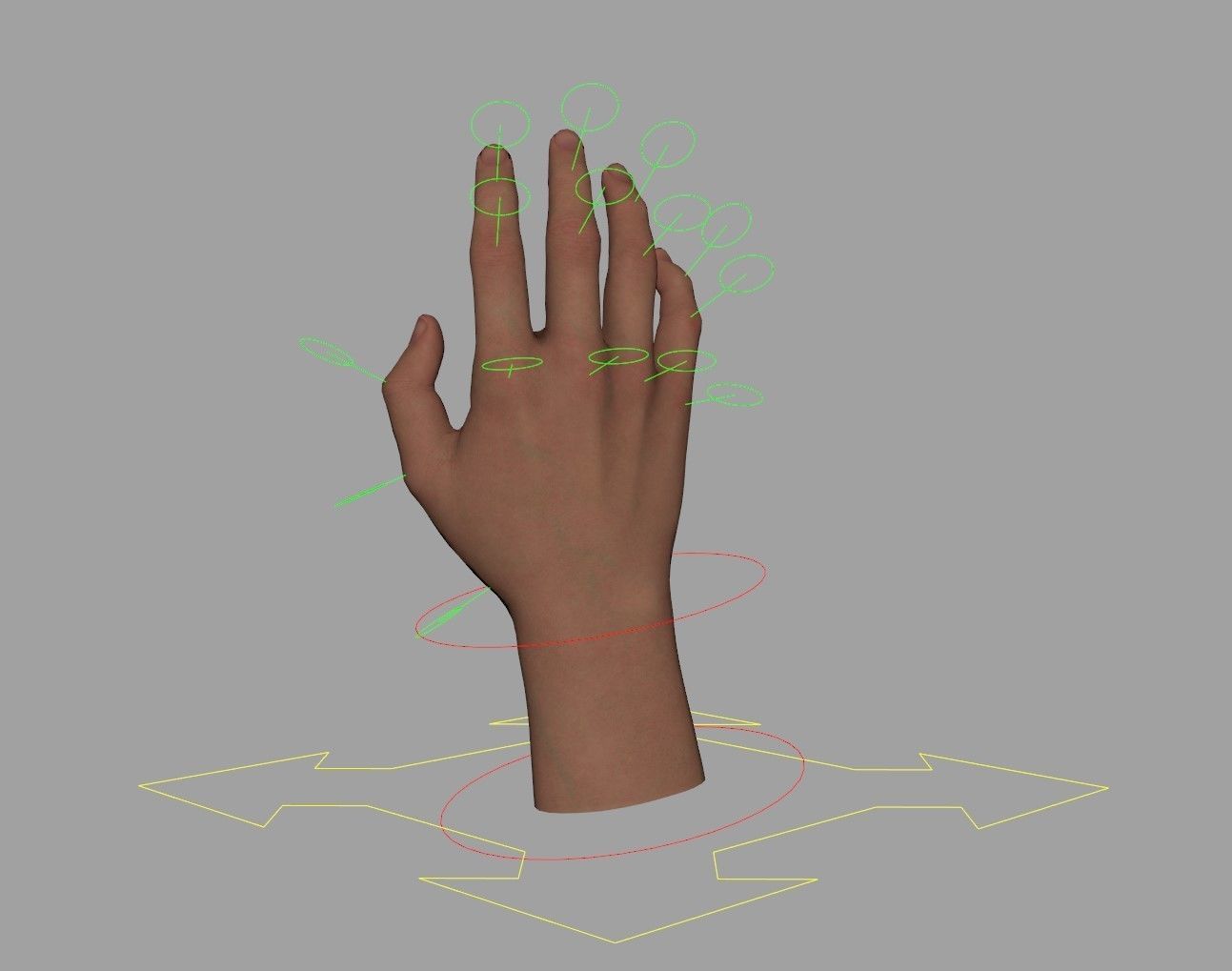Realistic Human Hand - Rigged Low-poly 3D model_13