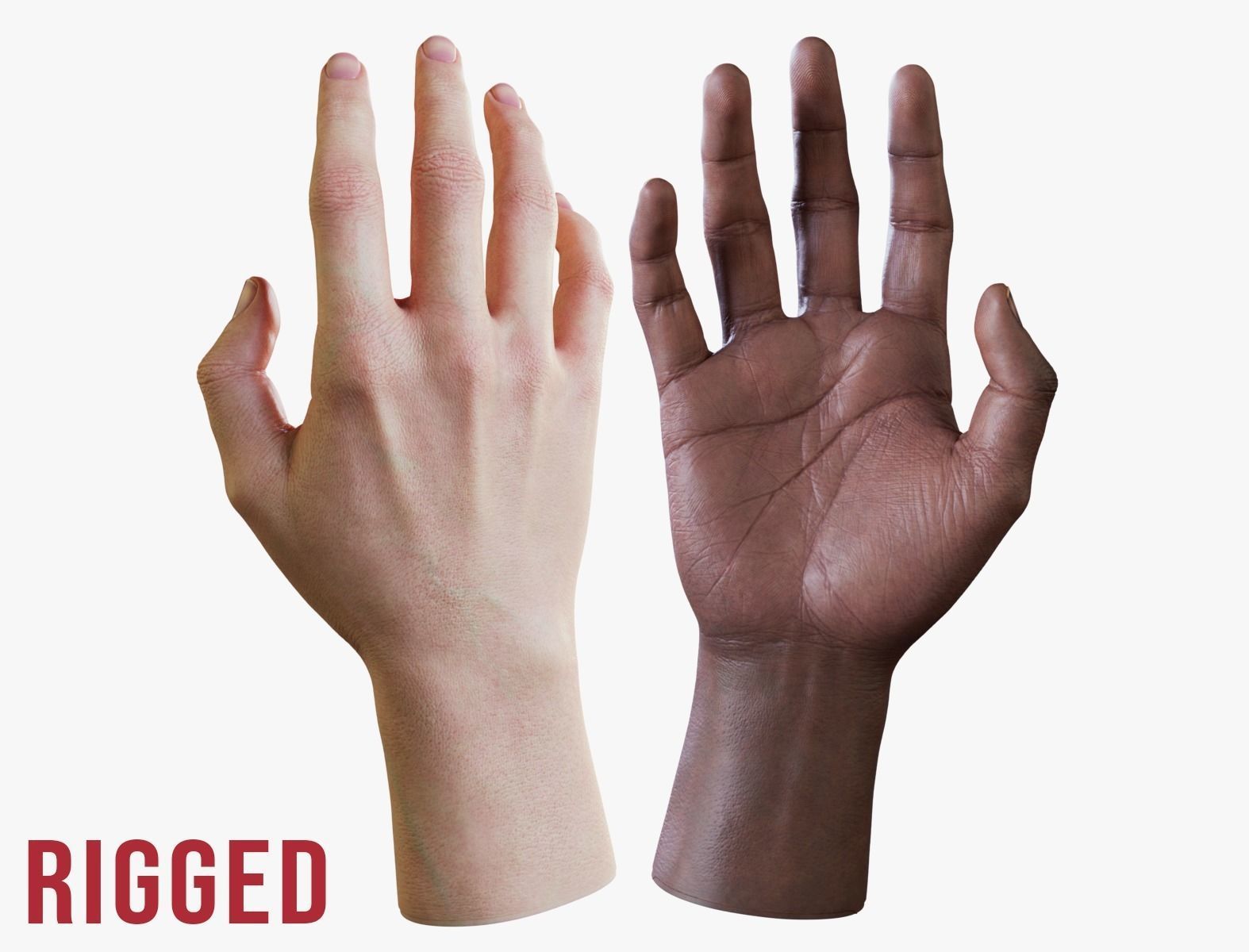 Realistic Human Hand - Rigged Low-poly 3D model_0