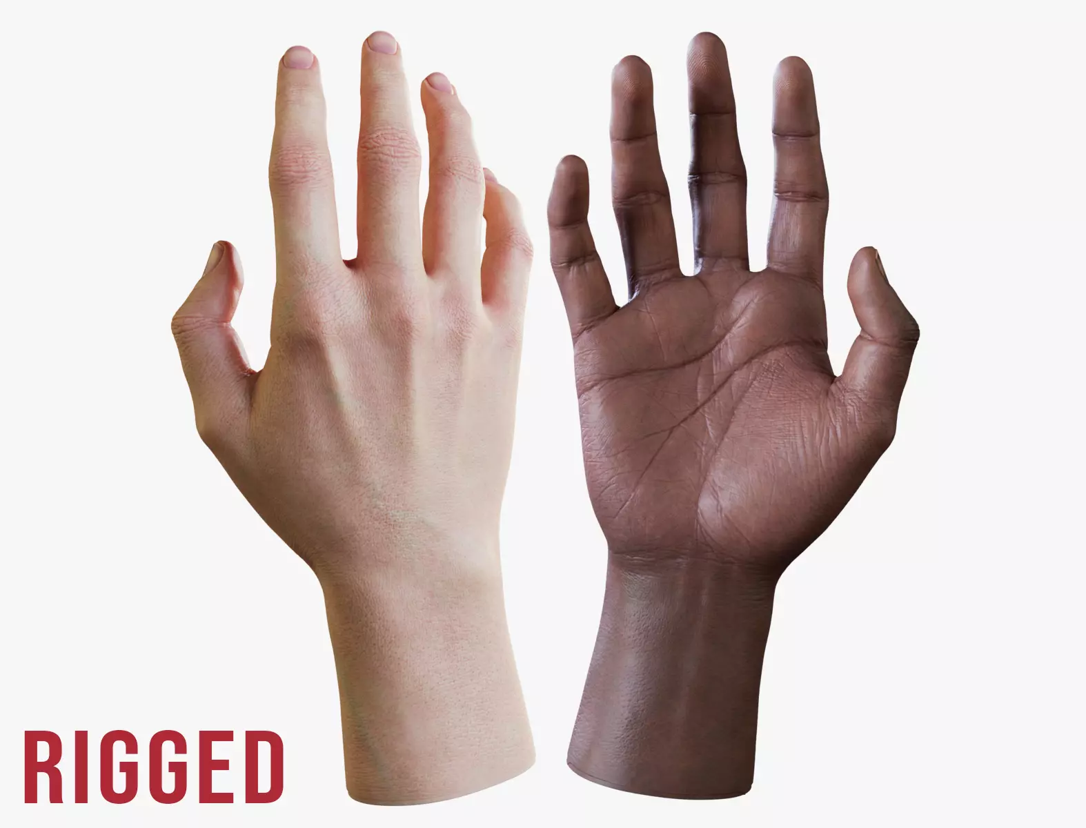 Realistic Human Hand - Rigged Low-poly 3D model_0