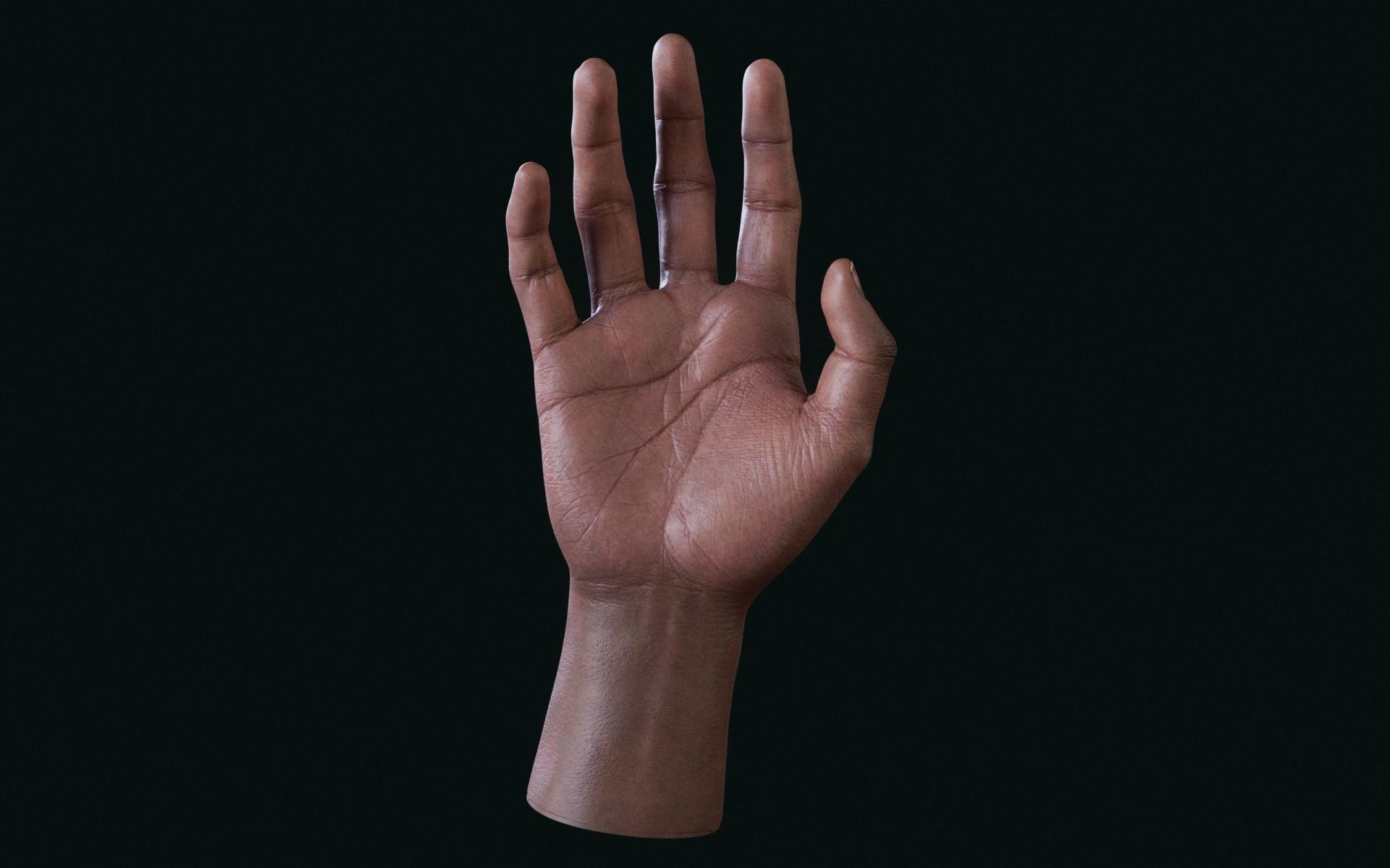 Realistic Human Hand - Rigged Low-poly 3D model_5
