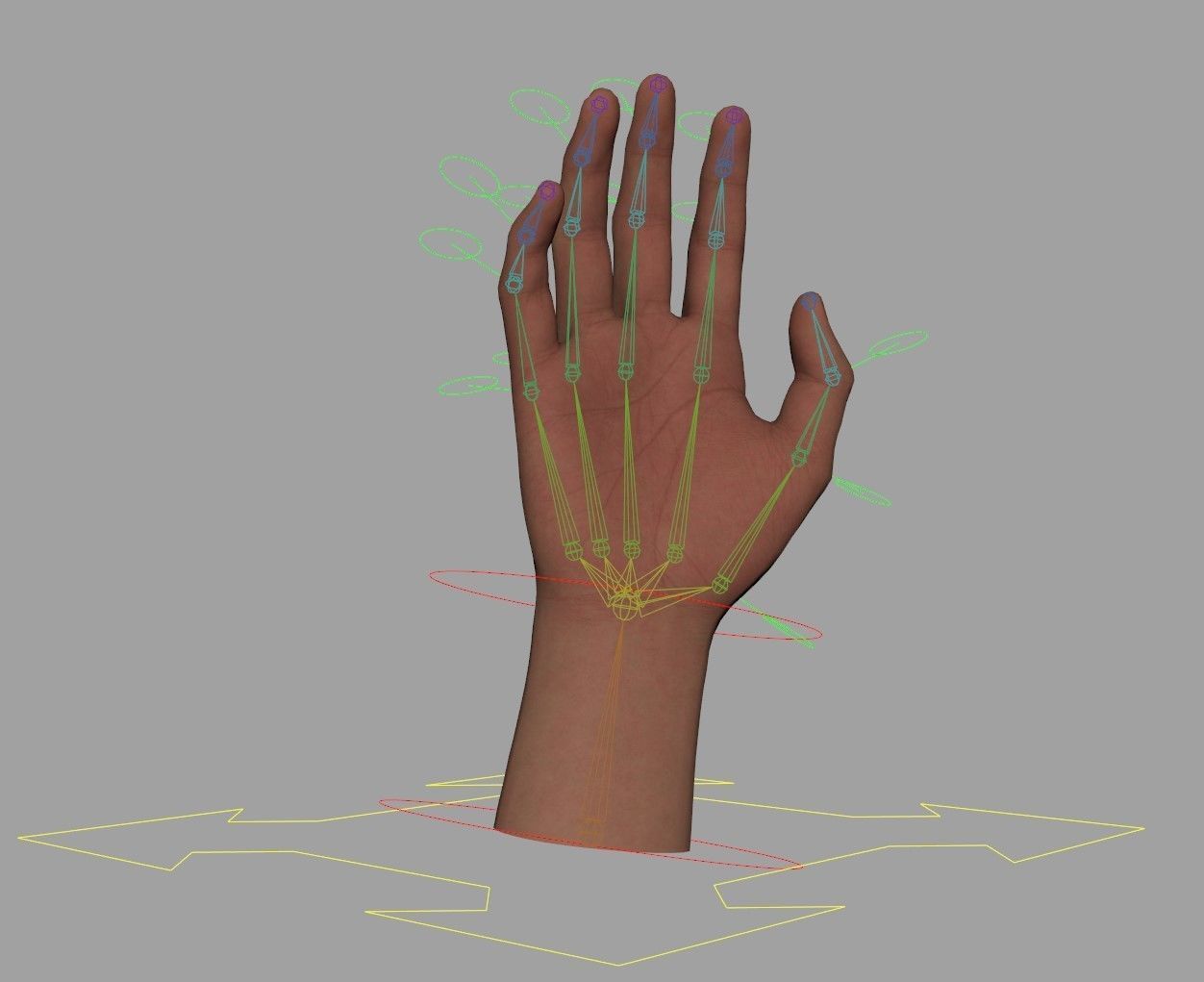 Realistic Human Hand - Rigged Low-poly 3D model_15