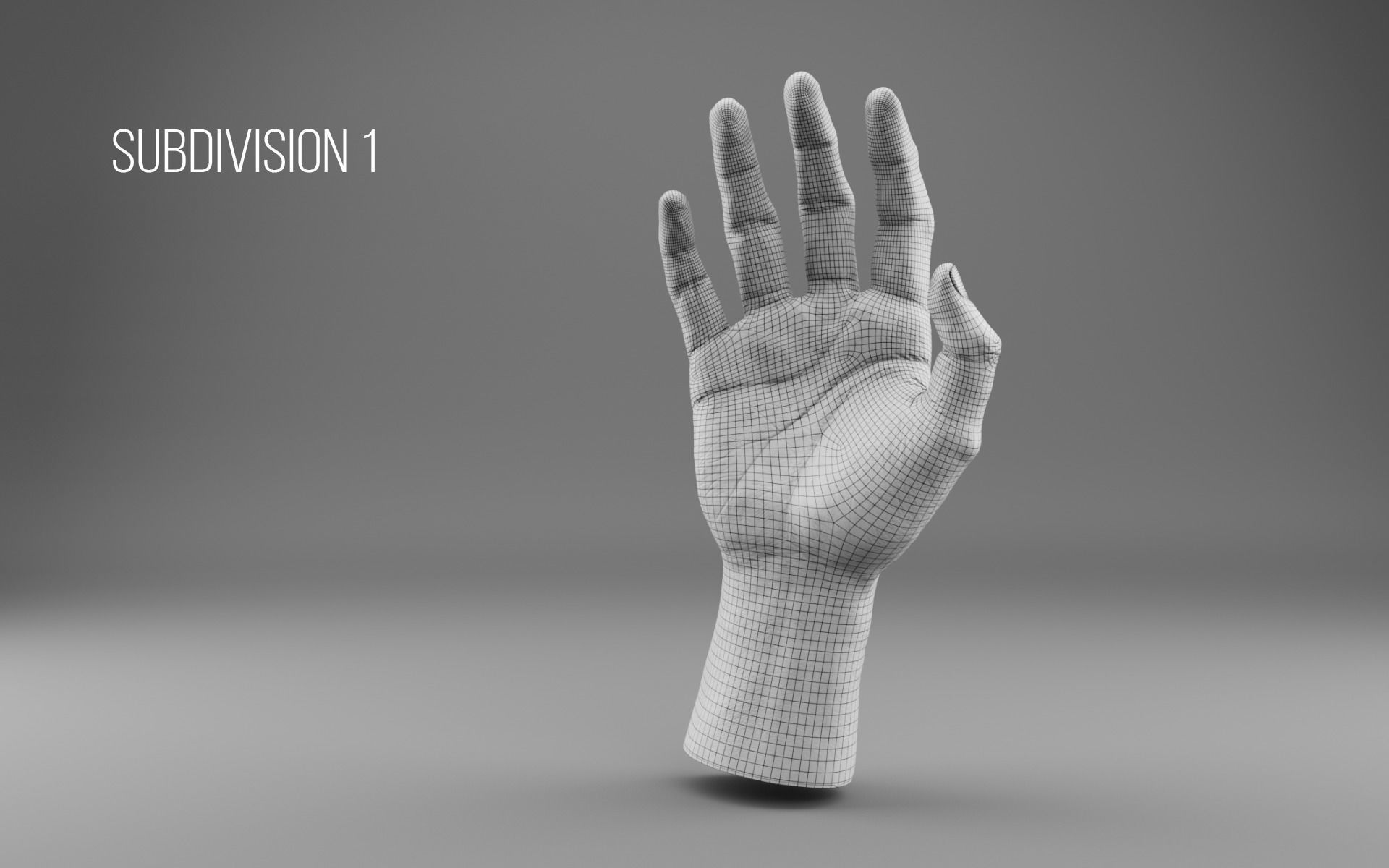 Realistic Human Hand - Rigged Low-poly 3D model_11