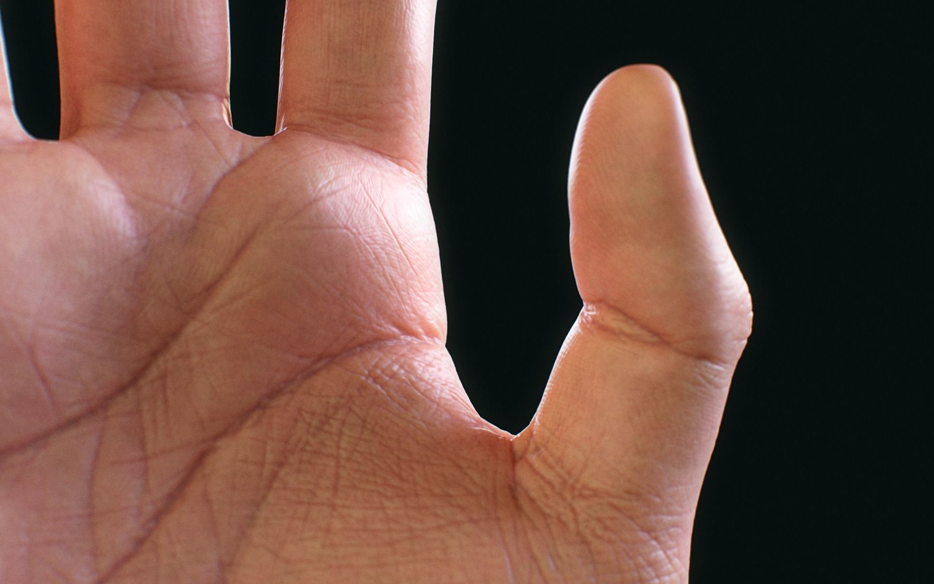 Realistic Human Hand - Rigged Low-poly 3D model_8