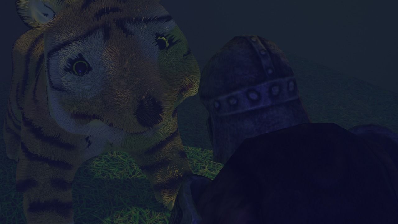 The tiger and the castle guard animated short Low-poly 3D model_6