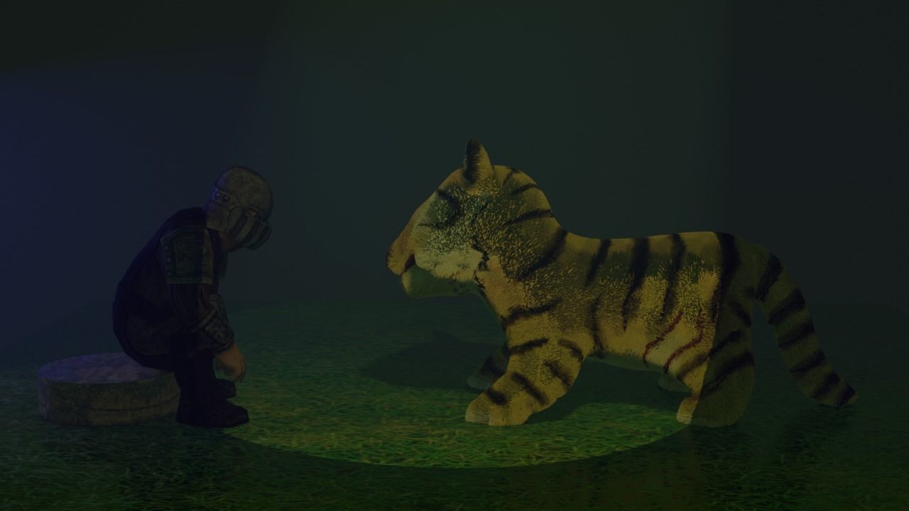 The tiger and the castle guard animated short Low-poly 3D model_9