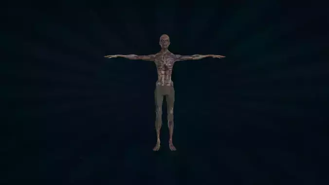 ZOMB-001 Rigged Zombie