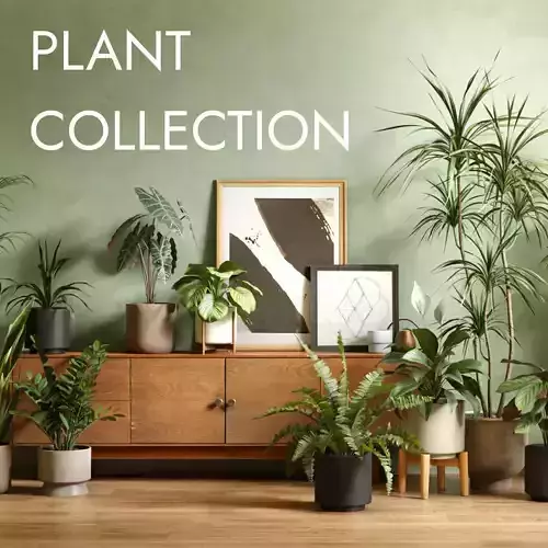 Plant Collection - 50 Models 3D model