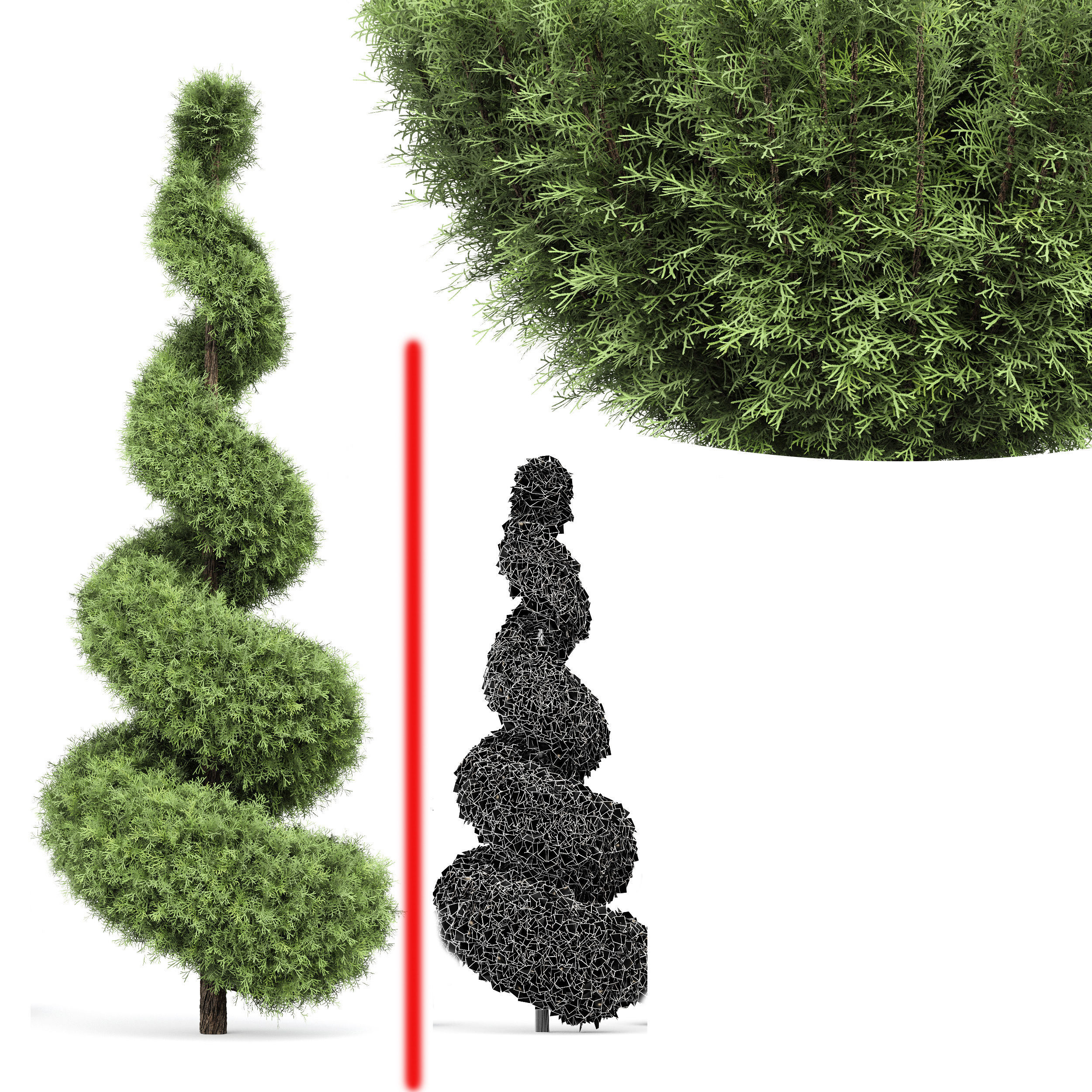 pine tree 3D model_3