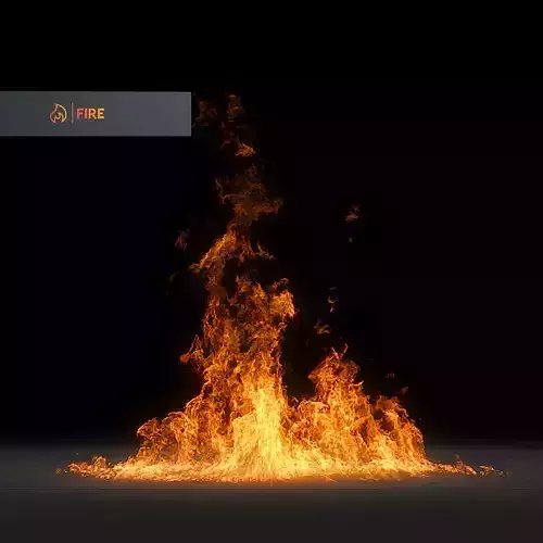 3D Fire Animation 3D model