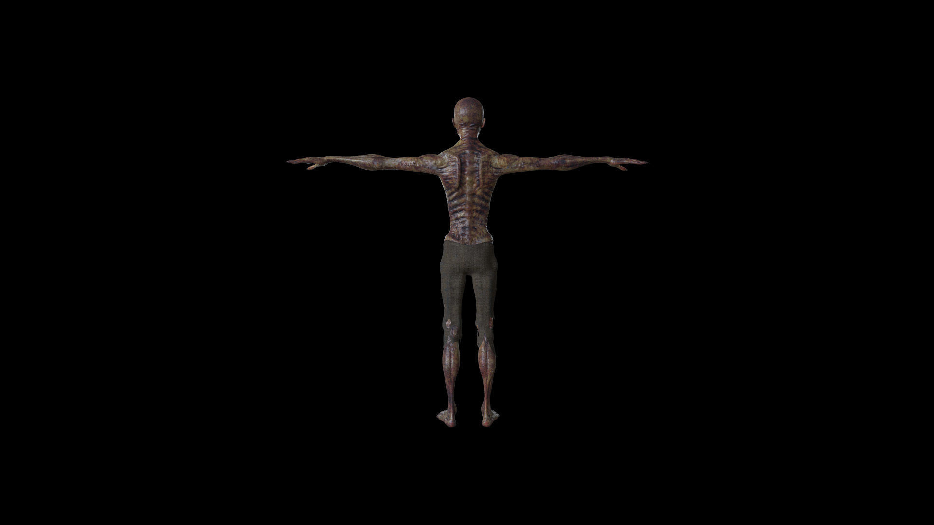 ZOMB01 Rigged Zombie 3D model_5
