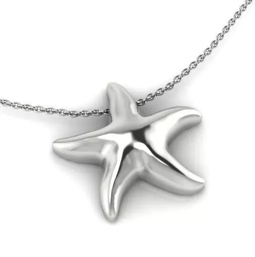Pendant starfish Model 3978 3D print model_0