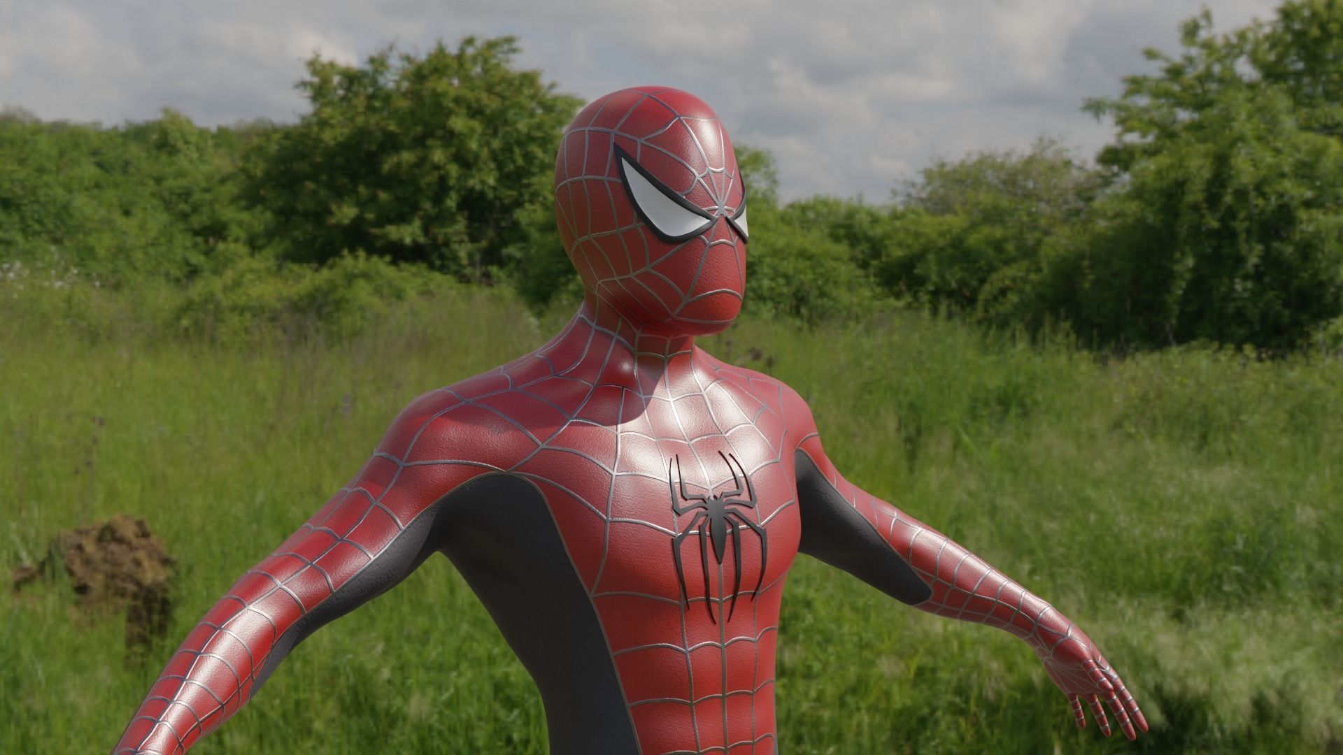 Raimi Spider-Man 3D model_2
