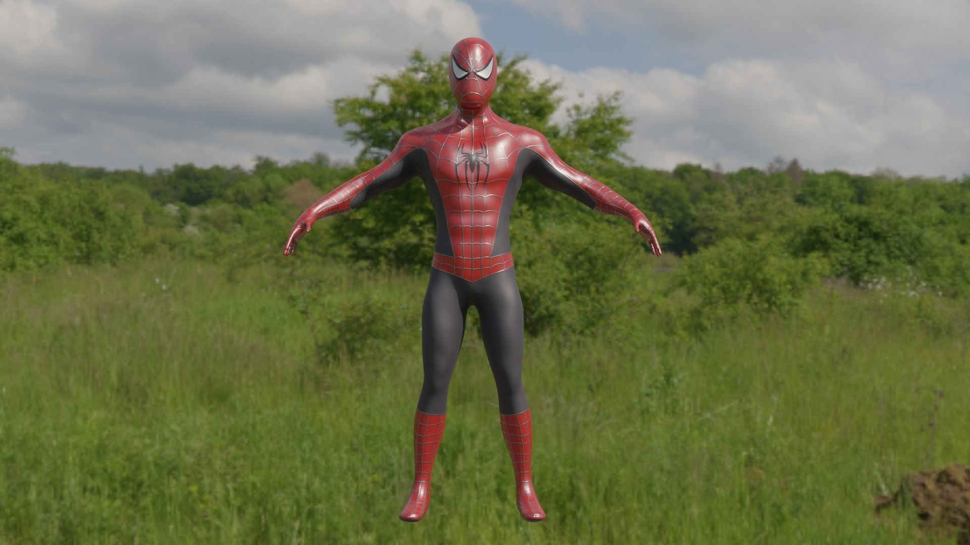 Raimi Spider-Man 3D model_4