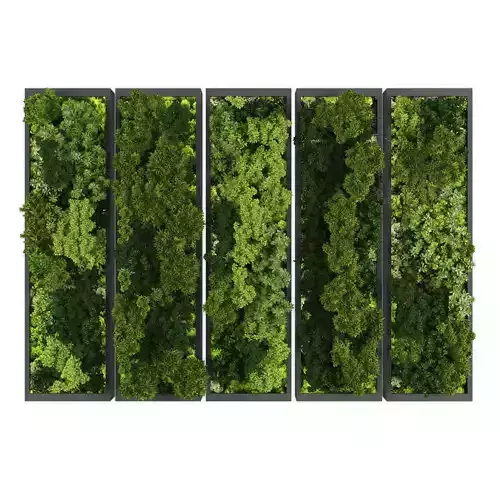 Vertical garden 221